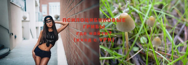 PSILOCYBIN Верхнеуральск