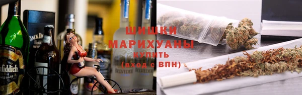 стаф Верея