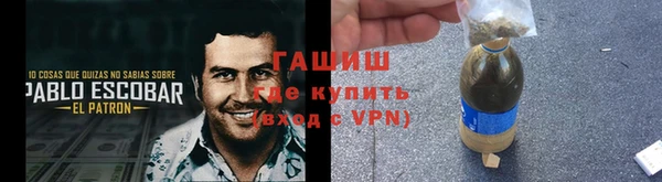 стаф Верея