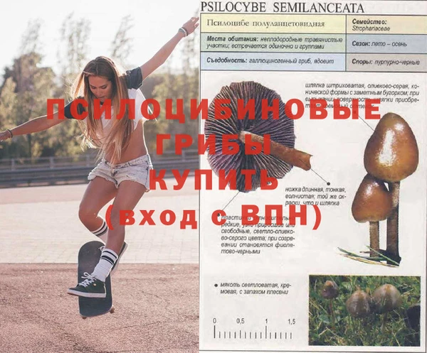 COCAINE Верхний Тагил