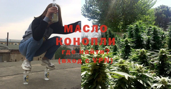 стаф Верея