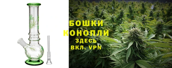 стаф Верея