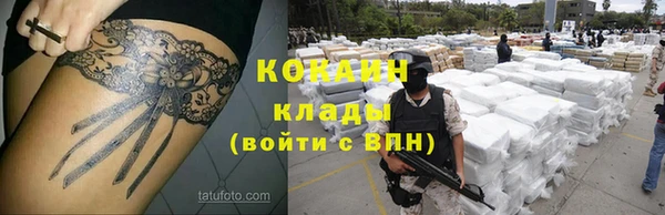 стаф Верея